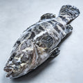 Whole raw grouper with mottled dark skin on a plain light surface
