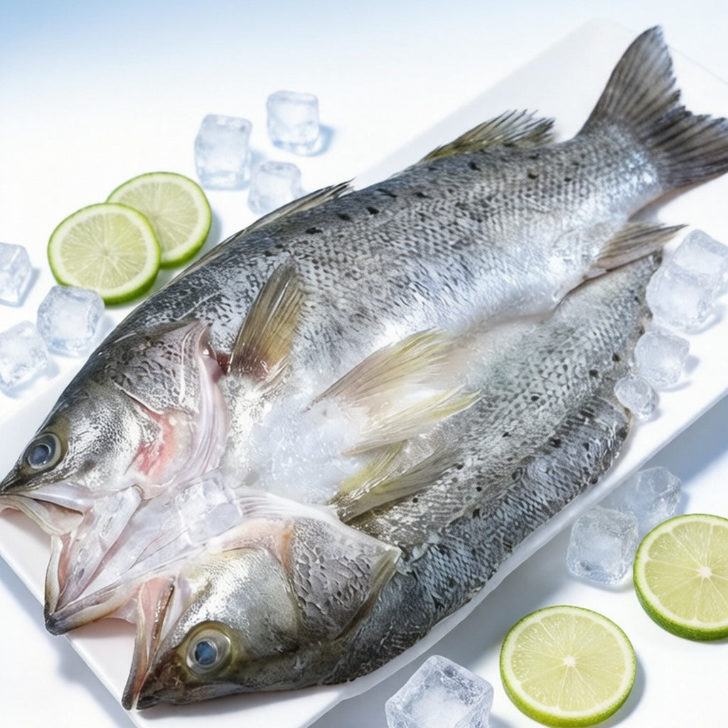 Whole raw sea bass laid on crushed ice with lime slices